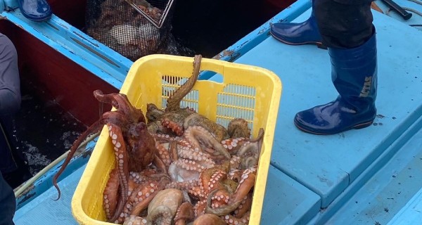 原料へのこだわり